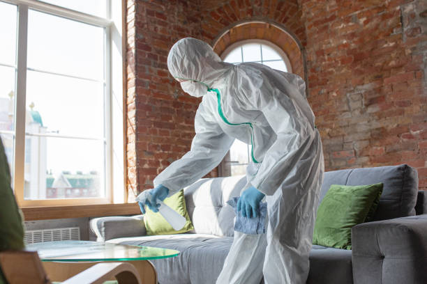 Professional Mold Removal in Emory, TX